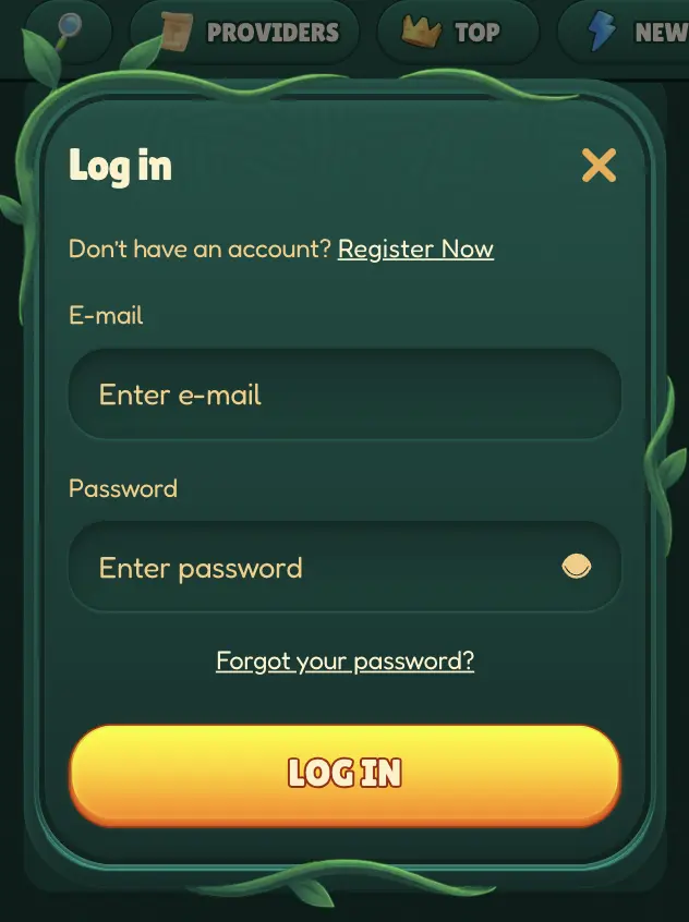 Log in inteface