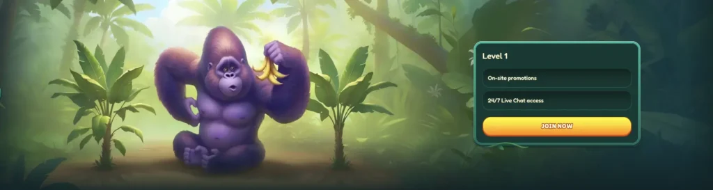 VIP program banner - level 1